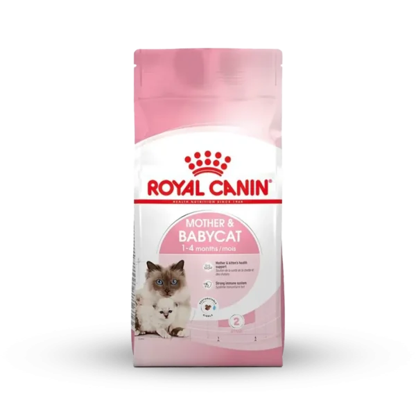 Alimento Gato Embarazo Royal Canin - 2KG