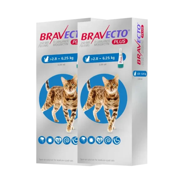 Bravecto Plus Gato 250MG De 2.8KG a 6.25KG - 1 Tableta Pack x2